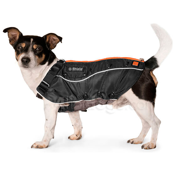 Hundefrakke Shield  Cold Ryg 20 Cm