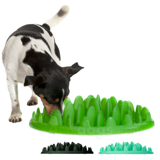 Green   Spis Langsomt   Til Alle Hunde Aqua