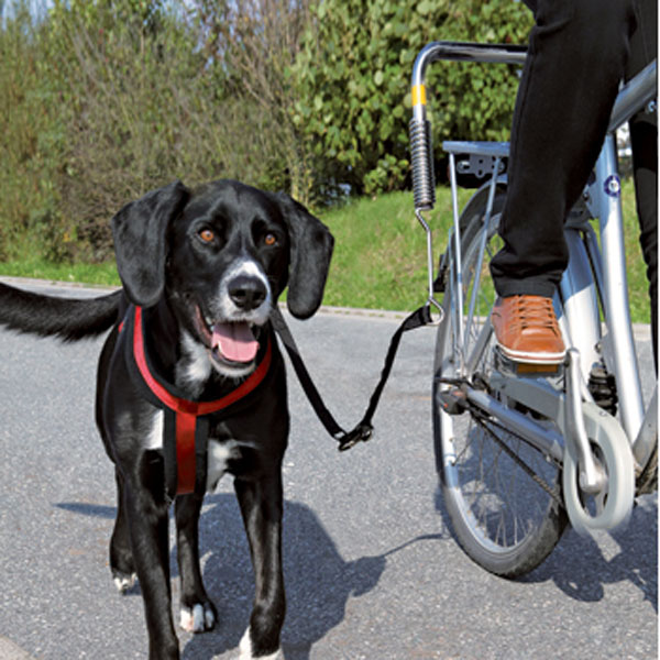 Cykelstang Til Tur Med Hunden