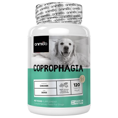 Coprophagia Til Hunde