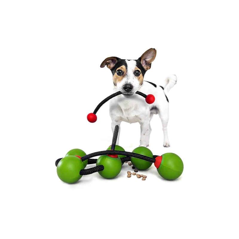 Dogo Hunde Aktivitetsspil
