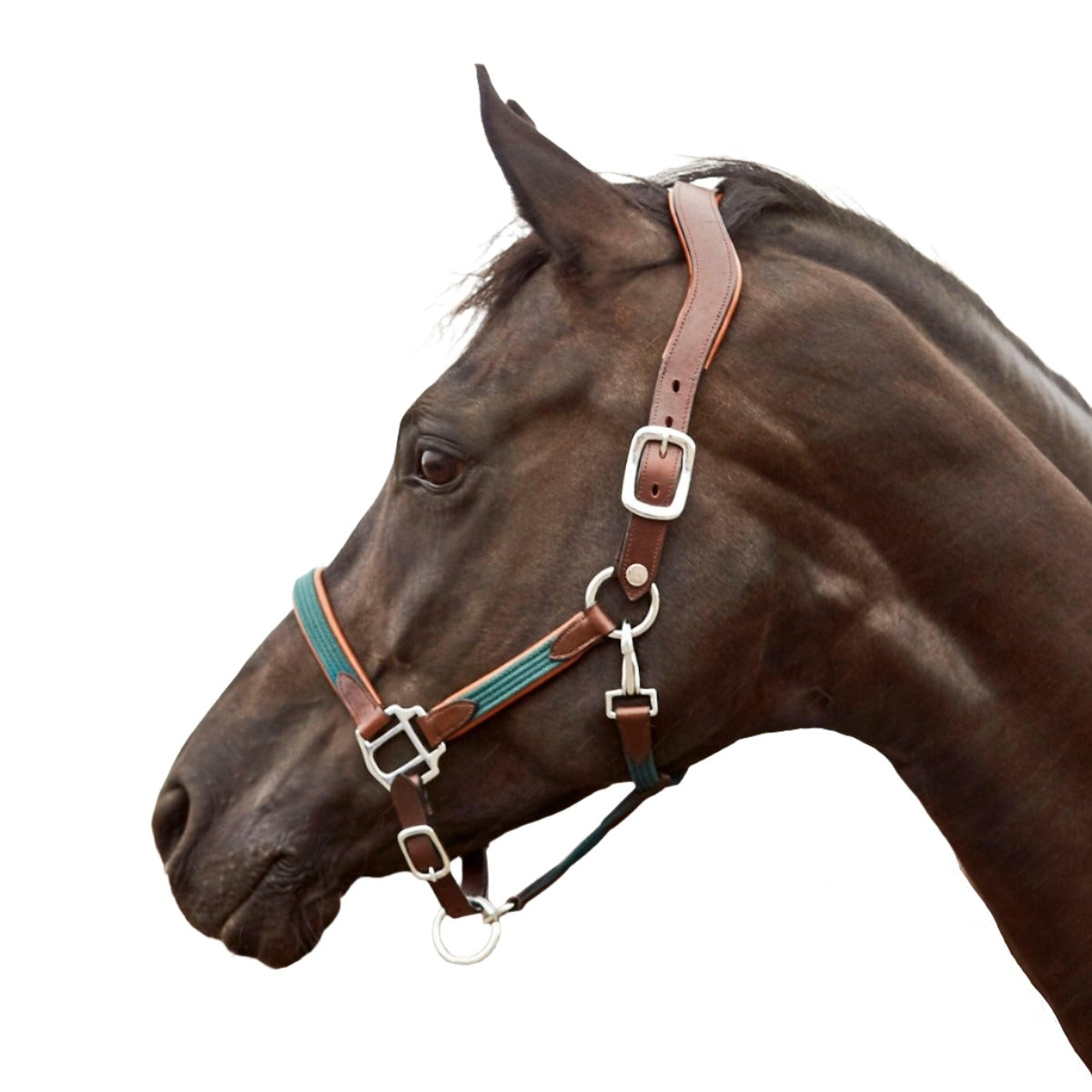 Finesse Bridles Grime   Brun Mørkegrøn