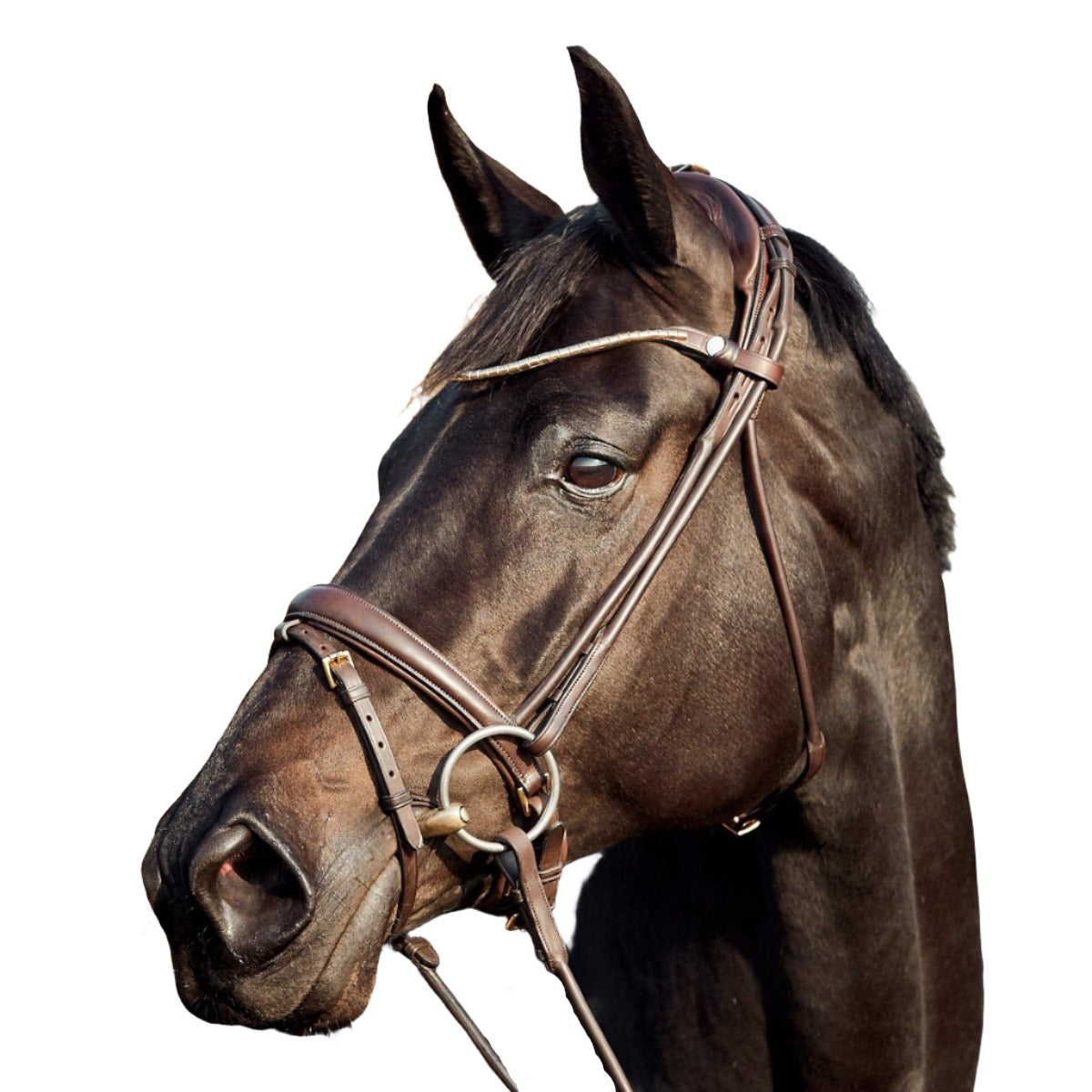 Finesse Bridles Himalaya Trense  Rundsyet M  Mellembredt Næsebånd   Brun Brun Guld