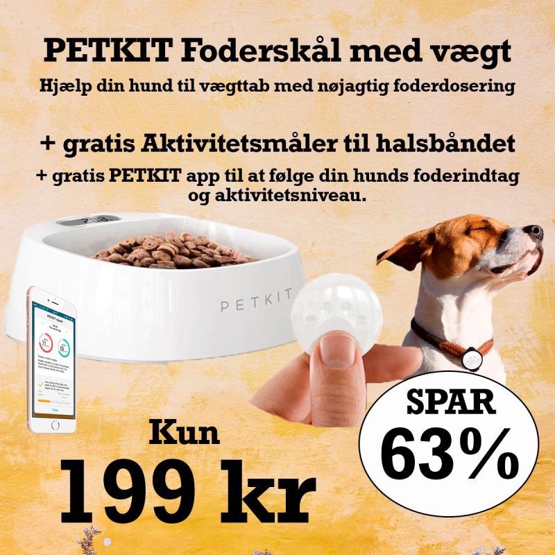 Petkit Foderskål Med Vægt   Gratis Aktivitetstracker Til Halsbåndet   Gratis Petkit App