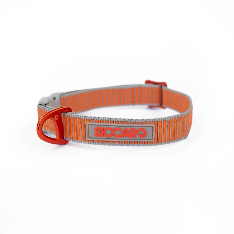 Siccaro  Sealines Dog Collars
