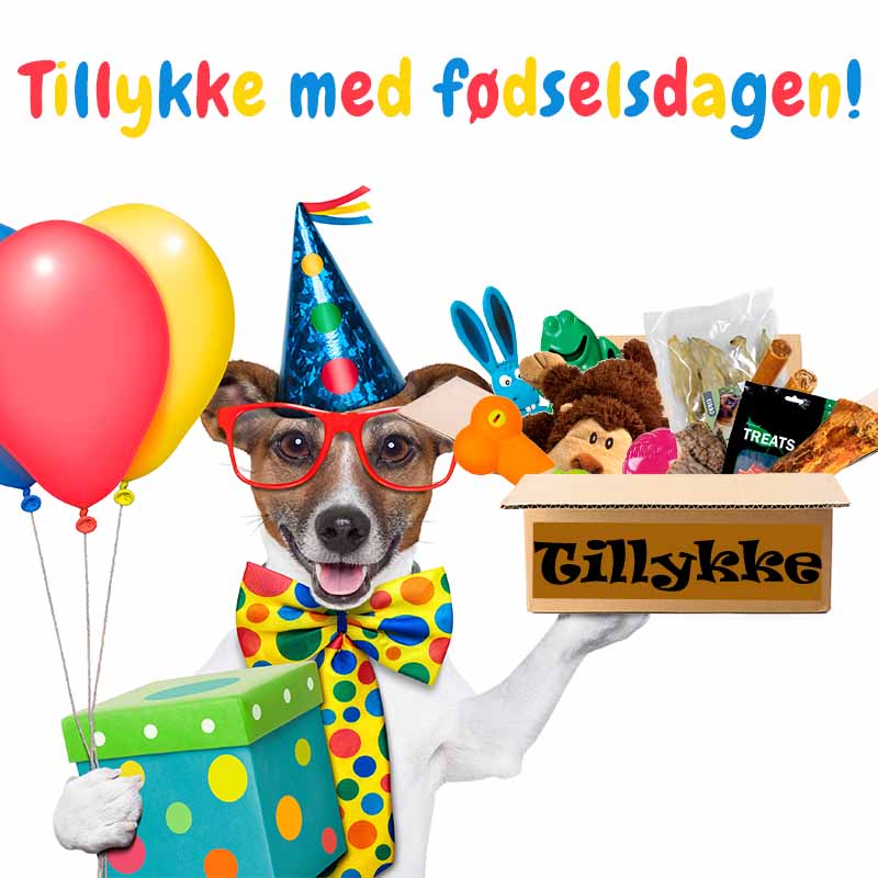 Fødselsdagsgave Til Hunde Xtra Lille Hund Fra 0 3 Kg