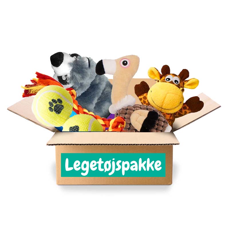 Legetøjspakke Til Hunde Xtra Lille Hund Fra 0 3 Kg