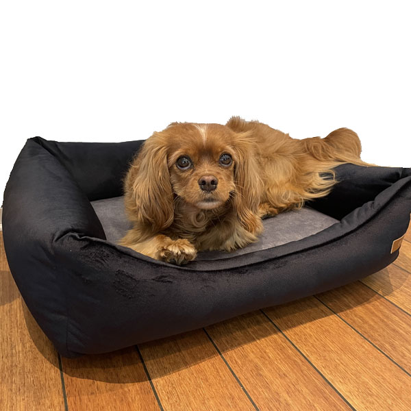 Hundeseng Otto  Sort Grå S