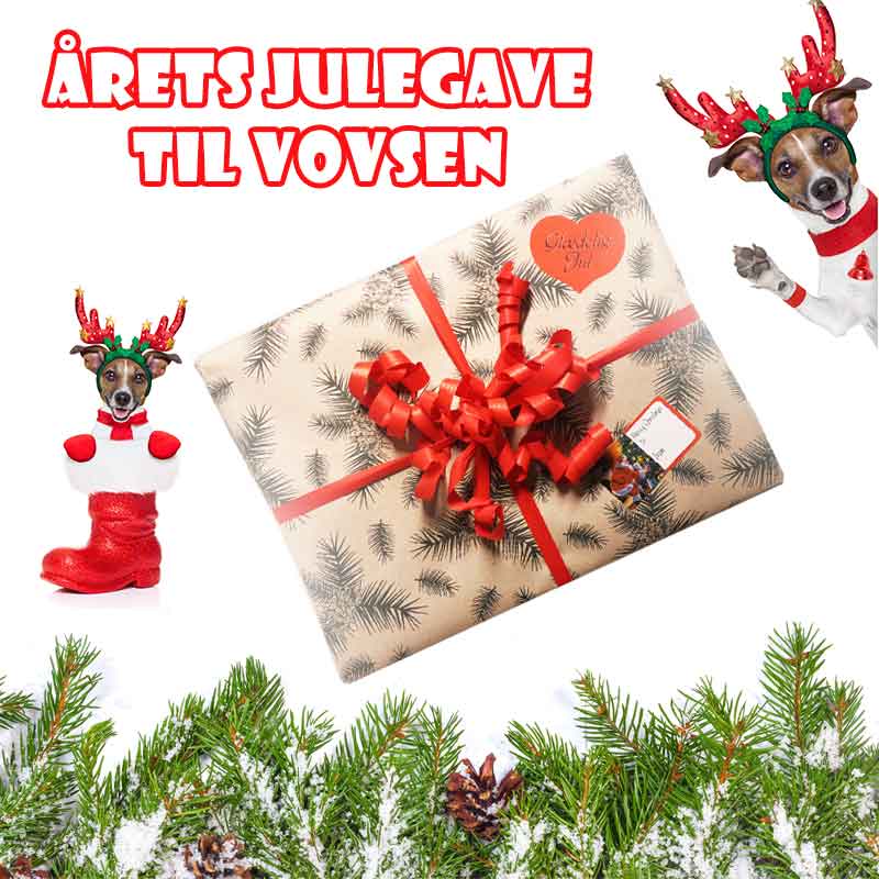 Julegave Til Hunde Xtra Lille Hund Fra 0 3 Kg