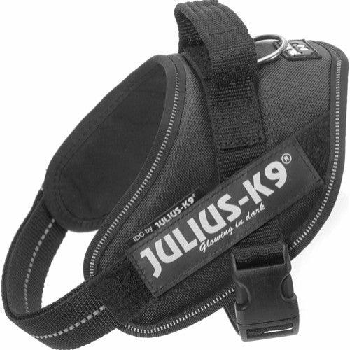 Julius K9 Idc Sele   Sort