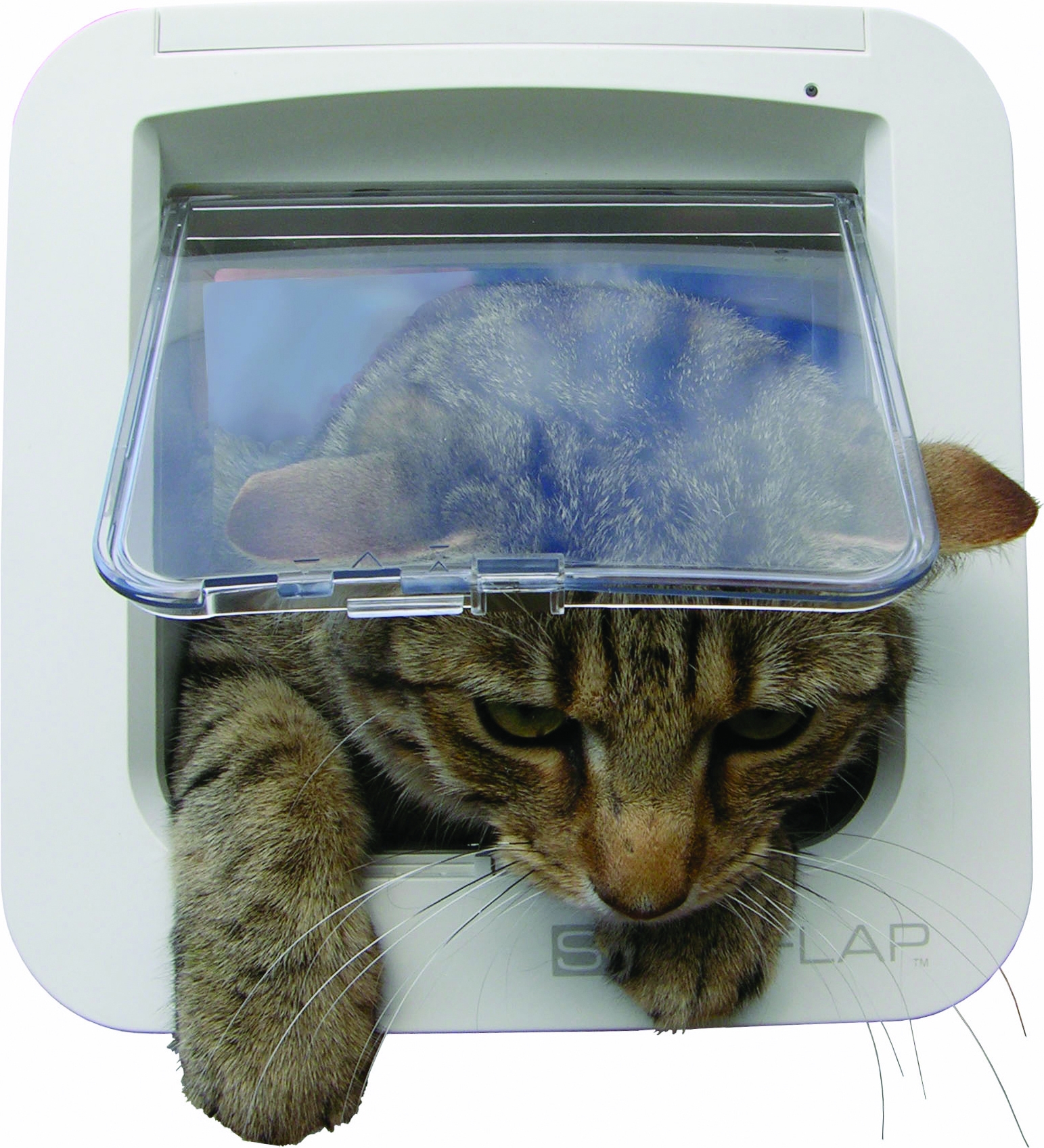 Sureflap Kattelem Til Microchippet Katte