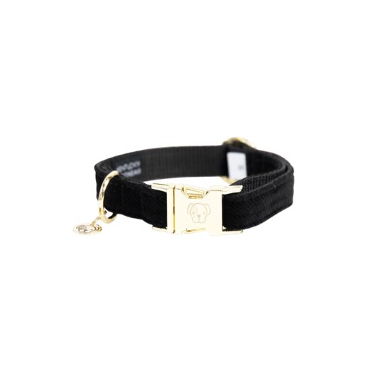 Kentucky Dog Collar Corduroy   Sort