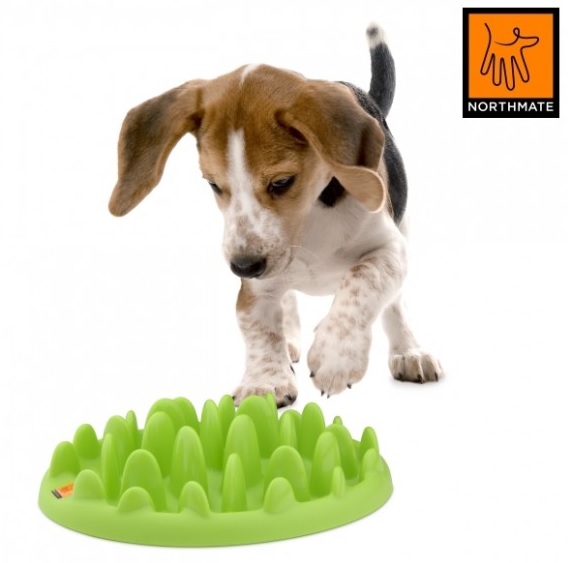 Northmate Green Spis Langsomt Skål  Mini  Til Hvalpe Og Mindre Hund