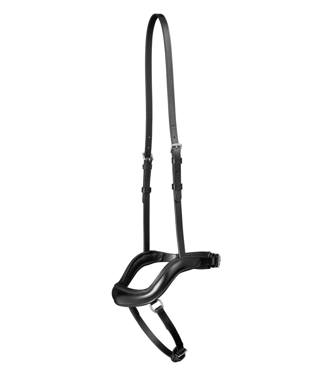 Noseband S Line Newshape   Sort
