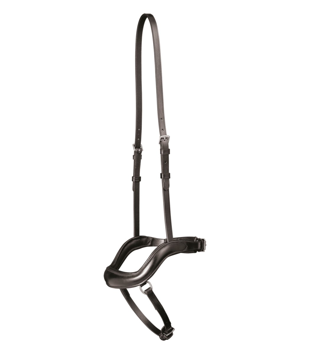 Noseband X Line Newshape   Brun