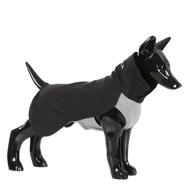 Paikka Recovery Hundesweater Grå 30 Cm