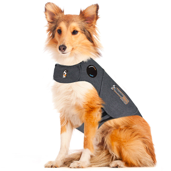 Thundershirt Den Bedste Løsning Mod Angst  Hos Hunde S