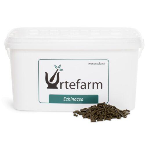 Urtefarm Echinacea  Rød Solhat