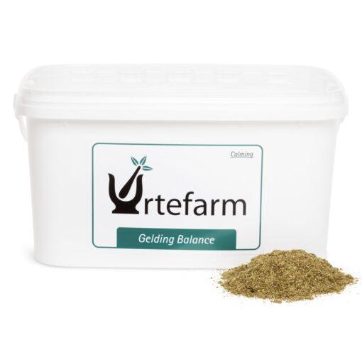 Urtefarm Gelding Balance
